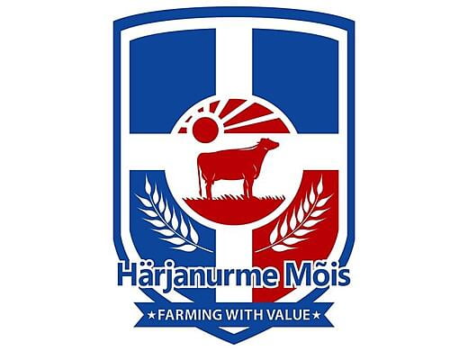 LOGO KUJUNDAMINE